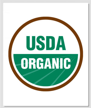 Organic Nitro Pumpkin Spice Espresso Coffee PET 5 Gal Keg